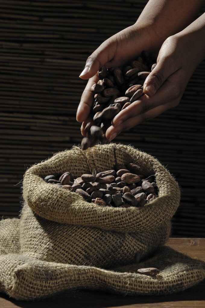 cocoa beans, hands, sack